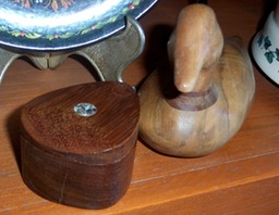 DCP_5355