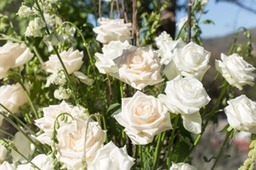 S-P_Wedding-2546
